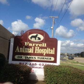 Farrell Animal Hospital - In business, in Arlington, over 50 years! - Veterinarians Near Me - Arlington, Texas Farrell Animal Hospital - In business, in Arlington, over 50 years! - Veterinarians Near Me - Arlington, Texas