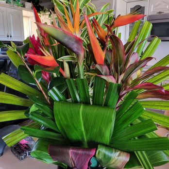 Don Don Donki - Local arrangement by Cathy! - International Grocery Near Me - Kapolei, Hawaii