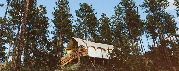 Under Canvas Mount Rushmore by null