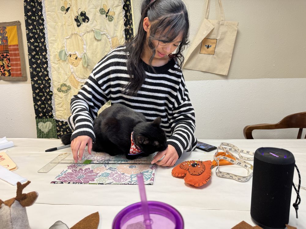 The Dragonfly-Art for Life