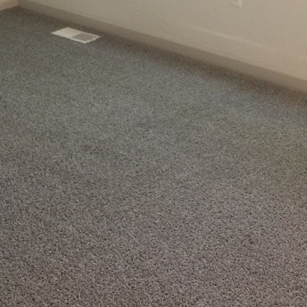Modernistic - Carpet Cleaning Near Me - Troy, Michigan Modernistic - Carpet Cleaning Near Me - Troy, Michigan