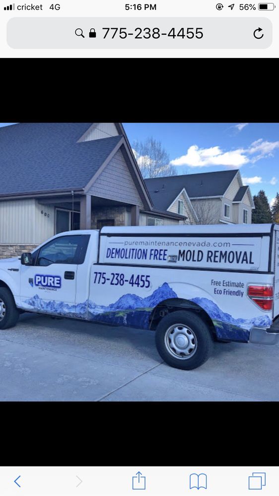 Pure Maintenance Nevada - mold inspector in Reno, NV