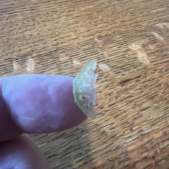 Newburn Bladez - Celery slice - Knife Sharpening Near Me - Murrieta, California Newburn Bladez - Celery slice - Knife Sharpening Near Me - Murrieta, California