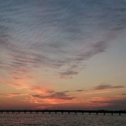 Bayshore Live Oak Park