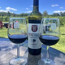 Wine Haus and Vineyard at Jameson Farm - Lovely wine and atmosphere. Staff is terrific.
