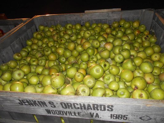 Jenkins Orchards by null