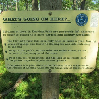 Deering Oaks Park - Great idea - Parks Near Me - Portland, Maine Deering Oaks Park - Great idea - Parks Near Me - Portland, Maine