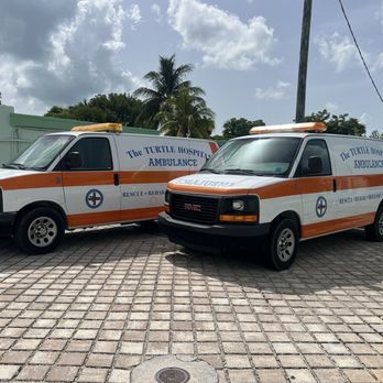 The Turtle Hospital - Veterinarians Near Me - Marathon, Florida