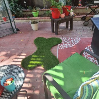 Green Forever - And wow! Look what they left my puppers! So sweat - Landscaping Near Me - Hesperia, California