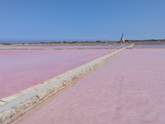 Saline Ettore e Infersa by null