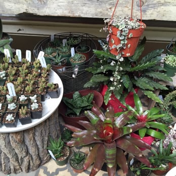 Flowerland - Nurseries & Gardening Near Me - Albany, California Flowerland - Nurseries & Gardening Near Me - Albany, California