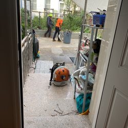 Family Tree Service