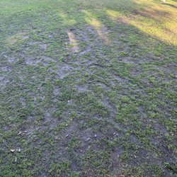 Santa Anita Golf Course - Tee box