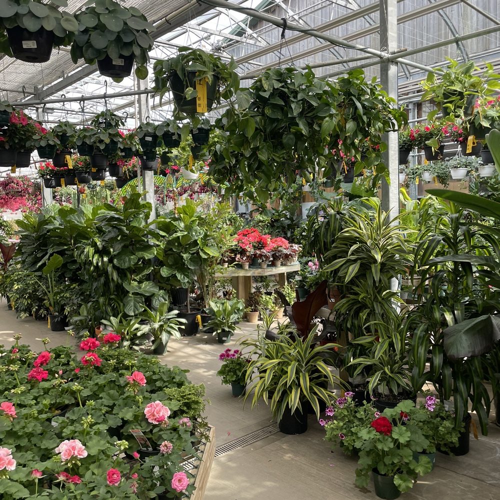 L B Forcellati & Sons - Nurseries & Gardening Near Me - Wall Township, New Jersey L B Forcellati & Sons - Nurseries & Gardening Near Me - Wall Township, New Jersey