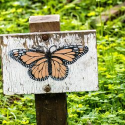 Coronado Butterfly Preserve - Coronado Butterfly Preserve