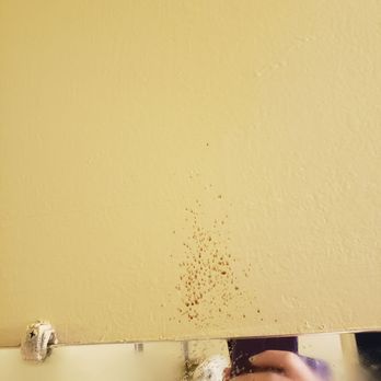 Marina Village Inn - Stains on bathroom wall above mirror - WHAT IS THAT AND WHY DONT THEY CLEAN? - Hotels Near Me - Alameda, California Marina Village Inn - Stains on bathroom wall above mirror - WHAT IS THAT AND WHY DONT THEY CLEAN? - Hotels Near Me - Alameda, California