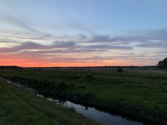Alligator River National Wildlife Refuge by null