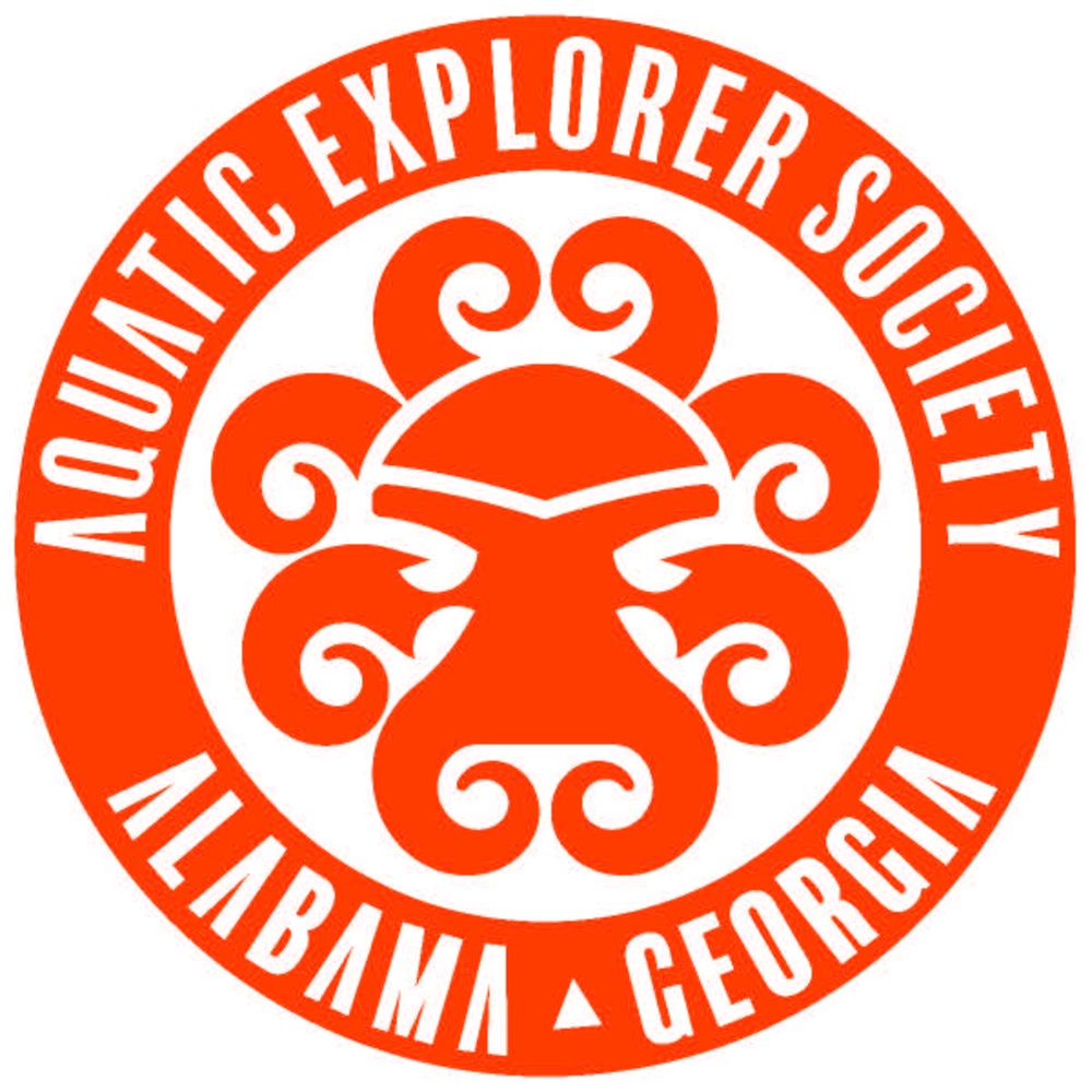 AES DIVES ALABAMA Updated June 2024 25741 Perdido Beach Blvd, Orange Beach, Alabama Dive