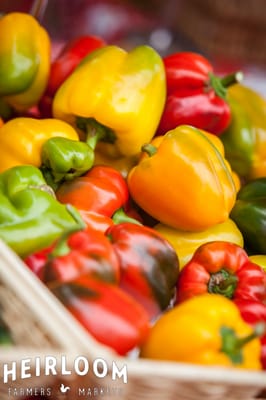 Heirloom Farmers Market | Udall Park by null