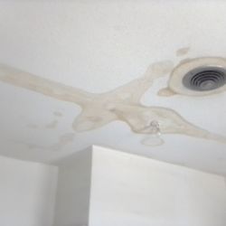 The River Rose Hotel - Constant water leaks