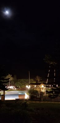 Chateau Beach Resort by null