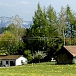 Käserei Zurwies