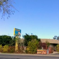 Restaurante El Guanaquito - Overgrown vegetation hide the treasure behind it