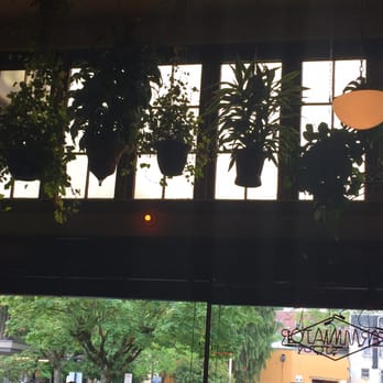 Spar Café - Cafes Near Me - Olympia, Washington Spar Café - Cafes Near Me - Olympia, Washington