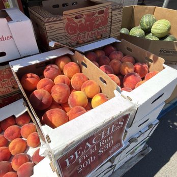 Bauman's Farm and Garden - Peaches - Fruits & Veggies Near Me - Gervais, Oregon Bauman's Farm and Garden - Peaches - Fruits & Veggies Near Me - Gervais, Oregon