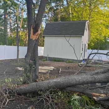 Ventura Tree Services - Tree Services Near Me Ventura Tree Services - Tree Services Near Me