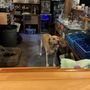 Photo of Yellow Dog Tavern