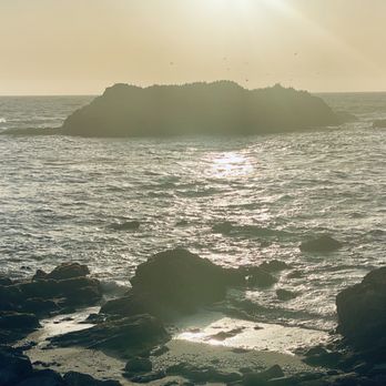 17-Mile Drive Scenic Tour - Bird rock - Local Flavor Near Me 17-Mile Drive Scenic Tour - Bird rock - Local Flavor Near Me