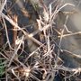 Photo of Plum Creek Nature Center