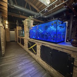 Paisans Pizzeria and Bar - Fish tanks