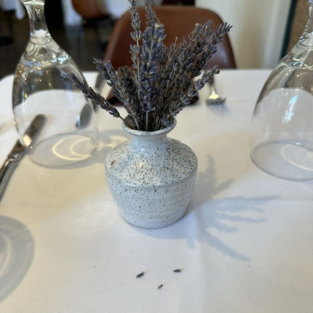 Spa Cafe - Real plants grace the table with their Beauty! - New American Near Me - Ojai, California Spa Cafe - Real plants grace the table with their Beauty! - New American Near Me - Ojai, California