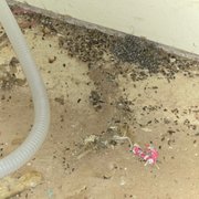 NORTHRIDGE COURT - Updated December 2025 - 24 Photos & 13 Reviews