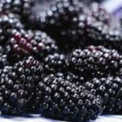 My Organic Food Club - Organic blackberries rock!