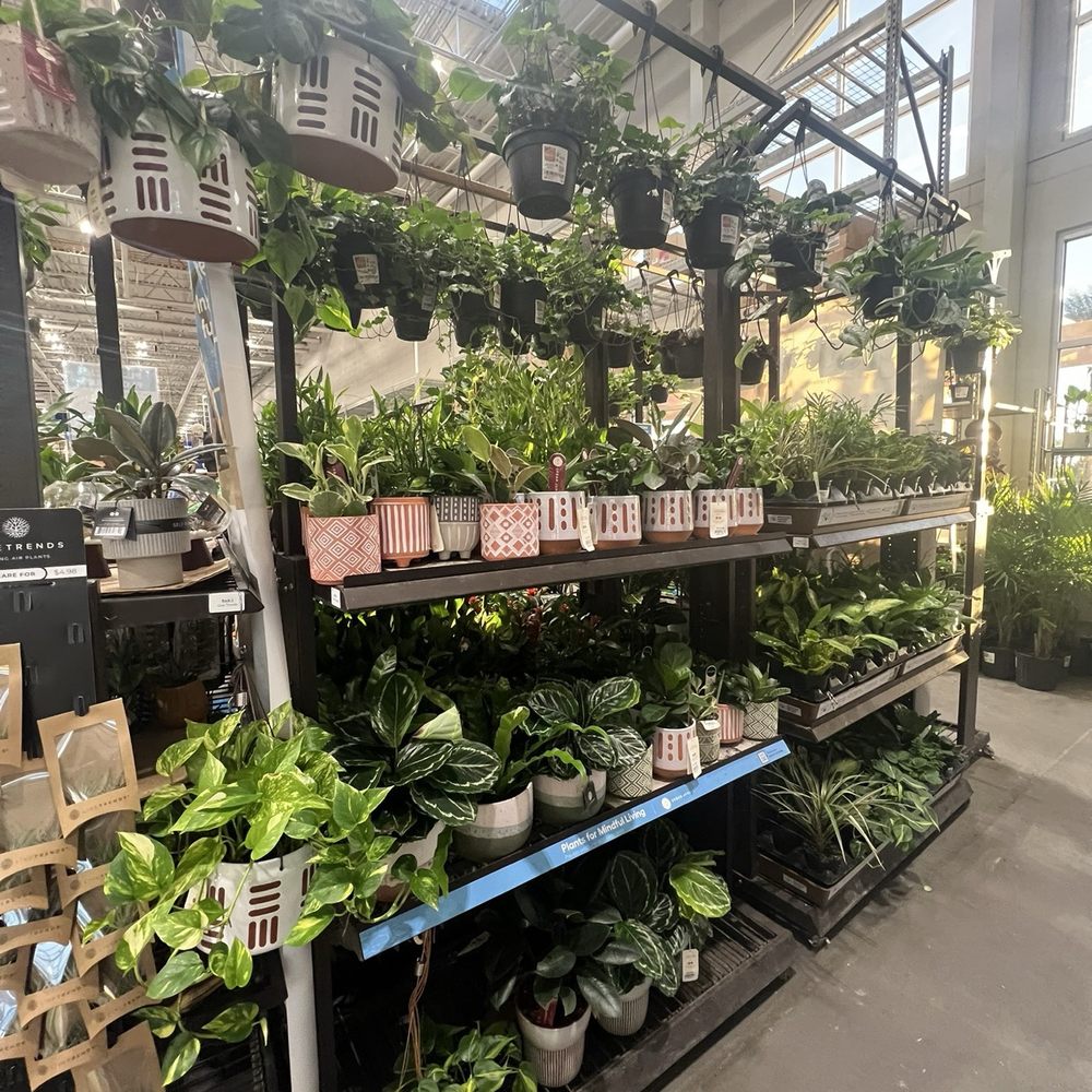 Lowe's Home Improvement - Inside - Indoor Plants - Hardware Stores Near Me - Las Vegas, Nevada