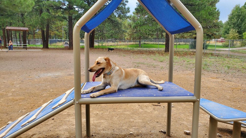 BUSHMASTER PARK 38 Photos & 18 Reviews Skate Parks 3150 N Alta