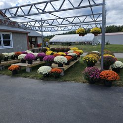 Foppema's Farm - Mums the word!