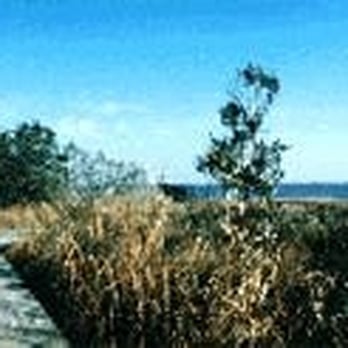 Carolina Beach State Park - Parks Near Me - Carolina Beach, North Carolina Carolina Beach State Park - Parks Near Me - Carolina Beach, North Carolina