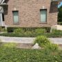 Photo of Yardners Lawn Maintenance