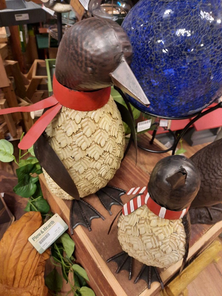 BACKYARD BIRD SHOP with 16 real customer photos Updated August 2024