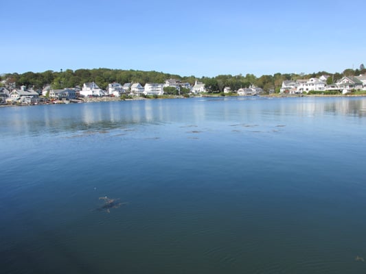 Boothbay Harbor Footbridge by null