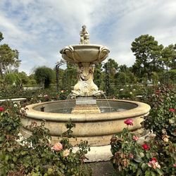 La Rosaleda