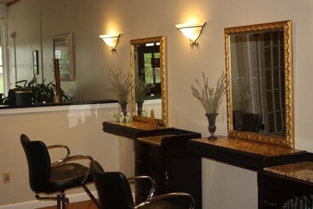 THE Salon Logo