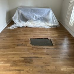 Drain Dawgs And Services