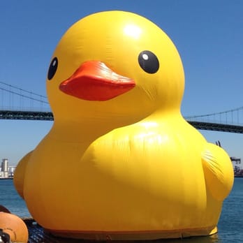 World's Largest Rubber Duck - Rubber Duckie, you're the one ... - Festivals Near Me - Los Angeles, California World's Largest Rubber Duck - Rubber Duckie, you're the one ... - Festivals Near Me - Los Angeles, California