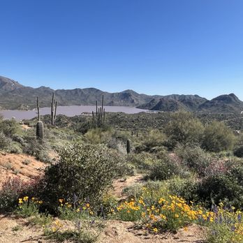 Bartlett Lake - Hiking Near Me - Scottsdale, Arizona Bartlett Lake - Hiking Near Me - Scottsdale, Arizona