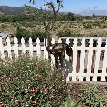 Ostrichland USA - Attraction Farms Near Me - Solvang, California Ostrichland USA - Attraction Farms Near Me - Solvang, California